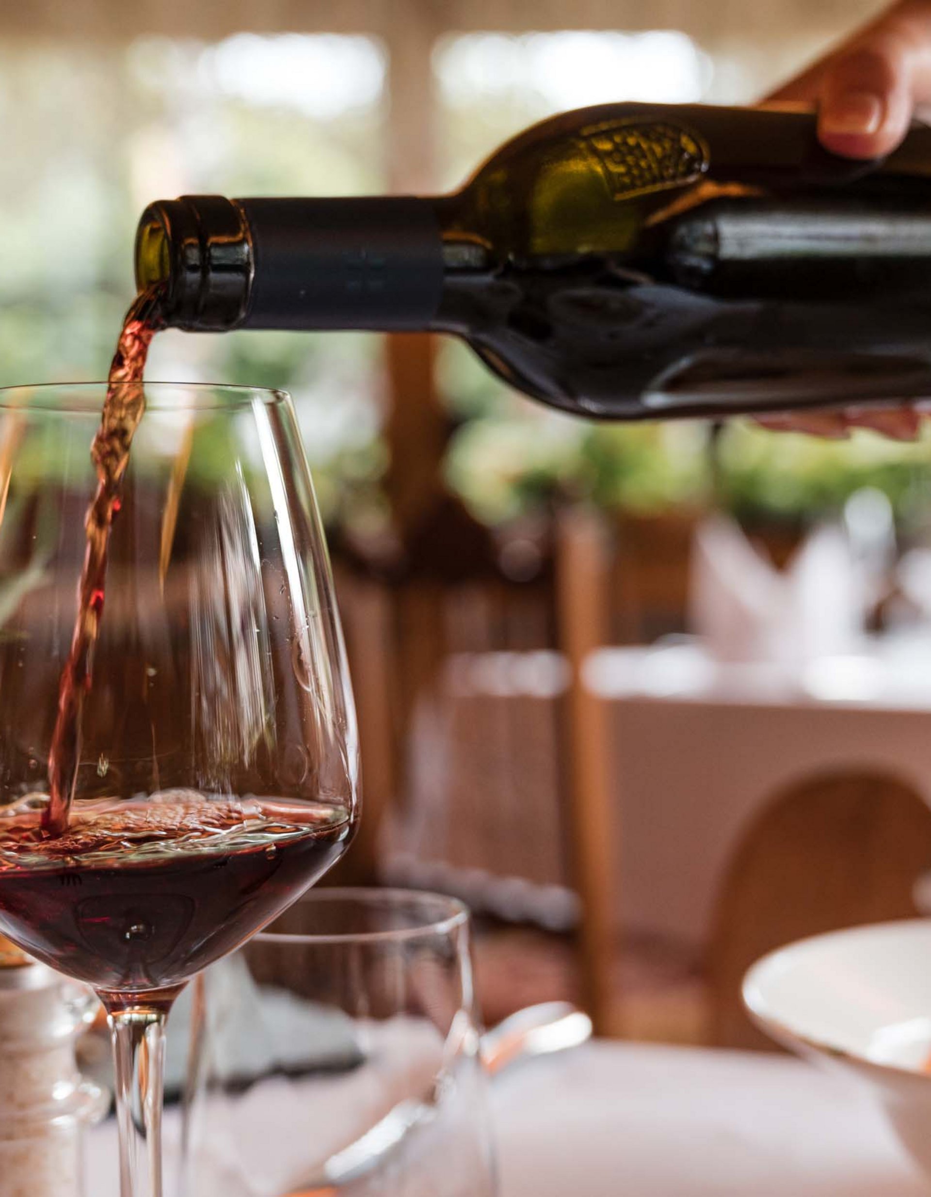 Al Plan: scatti di un hotel fuori dagli schemi. Al Plan: scatti di un hotel fuori dagli schemi.