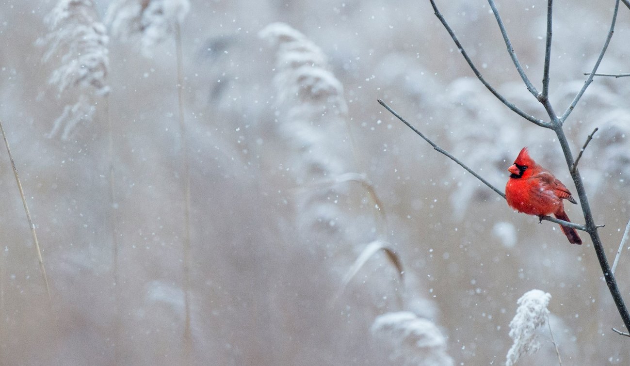 Al Plan: Eindrücke aus einem Hotel, das anders ist