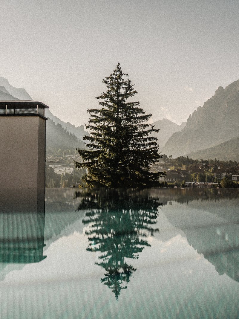 Ihr Hotel mit Infinitypool in Südtirol – Panorama inklusive!